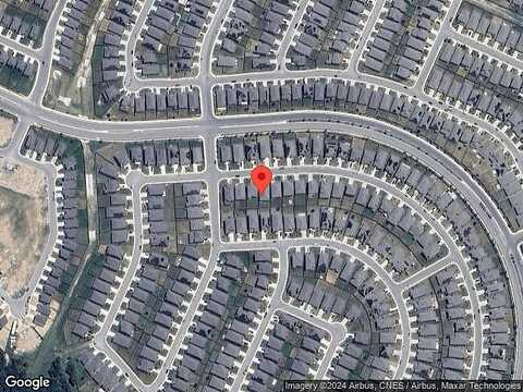 Bicknell Sedge, SAN ANTONIO, TX 78254