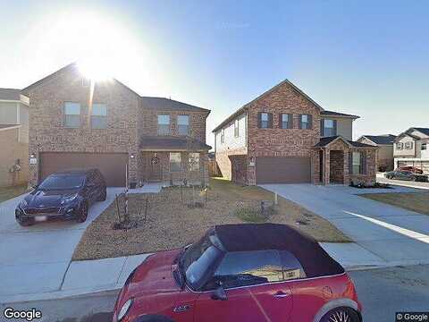 Camassia, SAN ANTONIO, TX 78245