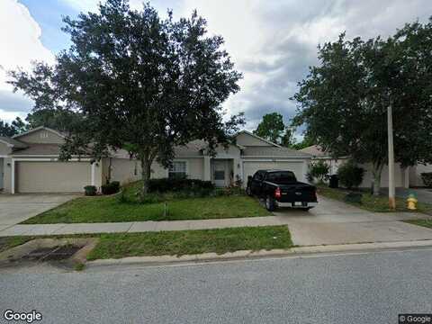 Dahoon Holly, DAYTONA BEACH, FL 32117