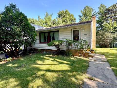 Brown, LUVERNE, MN 56156