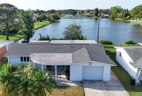 Mitzi, HOLIDAY, FL 34690