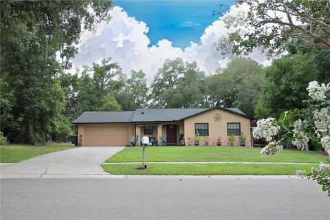 King William, SEFFNER, FL 33584