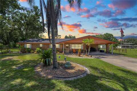 Joey, AUBURNDALE, FL 33823