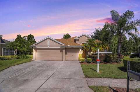 Estero, LAND O LAKES, FL 34639