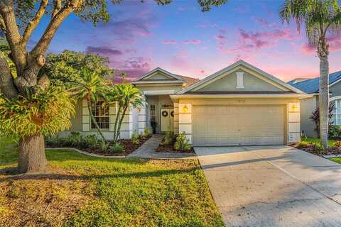 Golden Cacoon, LUTZ, FL 33558