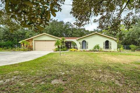 Firethorn, SPRING HILL, FL 34610