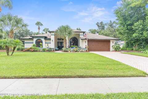 Beechtree, HUDSON, FL 34667