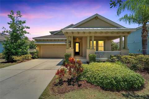 Manns Harbor, APOLLO BEACH, FL 33572