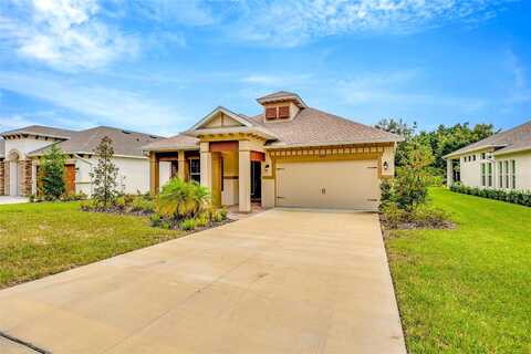 Thoroughbred, DADE CITY, FL 33525