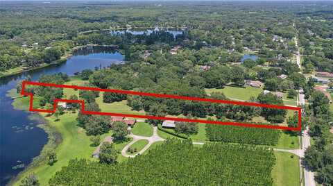 Hanna, LUTZ, FL 33549