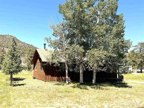 Conifer, SOUTH FORK, CO 81154