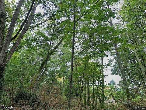 Luana, VASHON, WA 98070