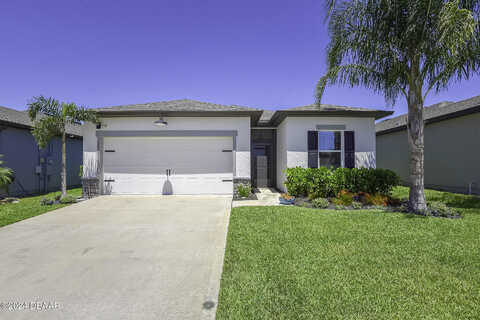 Neverland, NEW SMYRNA BEACH, FL 32168