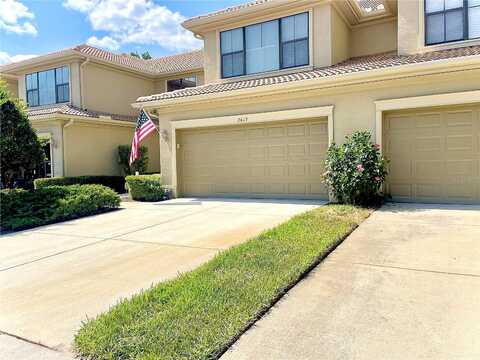 Gloriosa, PALM HARBOR, FL 34684