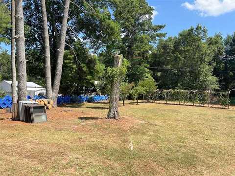 Dooley Town, STATHAM, GA 30666