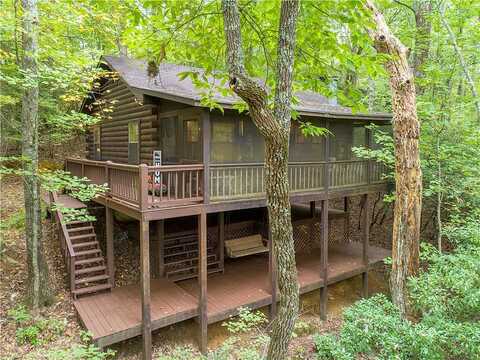 Ascherman Court, Cherry Log, GA 30513