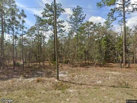 Sw 136Th Ter, Dunnellon, FL 34432