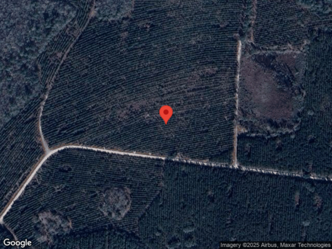 Doctor'S Creek Rd Ne, Ludowici, GA 31316