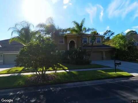 Loggerhead Way # 3405, Wesley Chapel, FL 33544