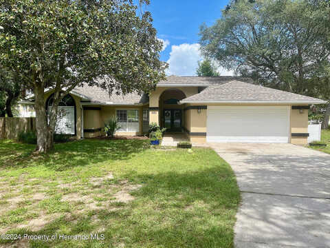 Sandra, Weeki Wachee, FL 34607