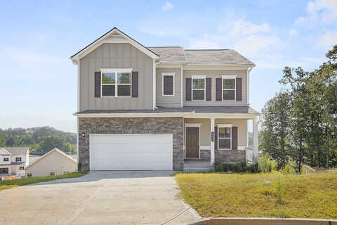 Treadstone Drive, Tunnel Hill, GA 30755