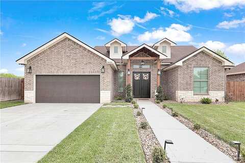 Micaela Street, Donna, TX 78537