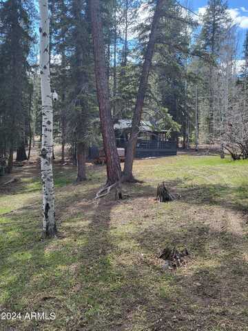 County Road 1007 --, Greer, AZ 85927