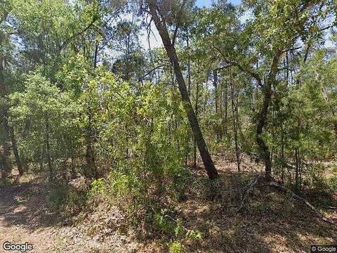 Mimosa, HOMOSASSA, FL 34446
