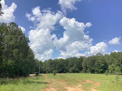 County Road 271, VALLEY, AL 36854