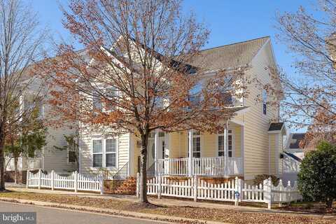 Begonia, RUTHER GLEN, VA 22546