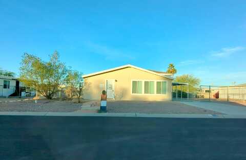 Silver, APACHE JUNCTION, AZ 85120