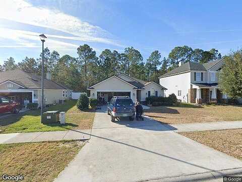 Sandhill Crane, MIDDLEBURG, FL 32068