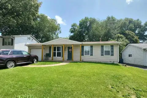 Tulip Tree, HAZELWOOD, MO 63042