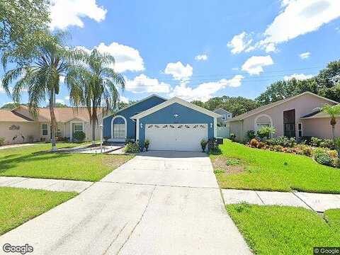 Huntfield, TAMPA, FL 33635