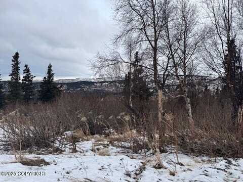 000 Susan Circle, Anchorage, AK 99516