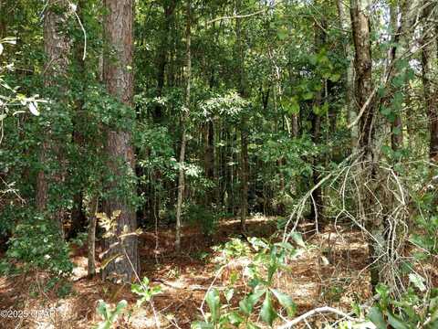 Beech Drive lot: 29, Westville, FL 32464