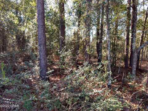 Marian Drive, Bonifay, FL 32425