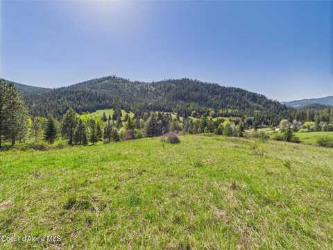 Nka S Willow Creek Rd, Medimont, ID 83842