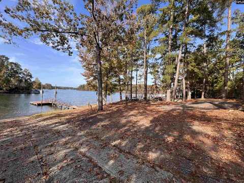 209 Lynch Lane, Chapin, SC 29036