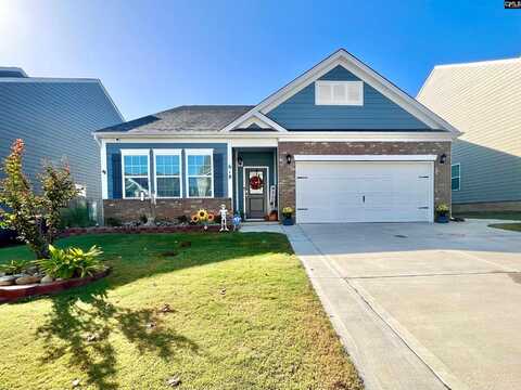 618 Autumn Shiloh Drive, Chapin, SC 29036