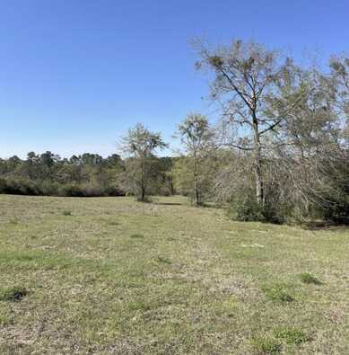 75 Acres N Hwy 81, Ponce De Leon, FL 32455