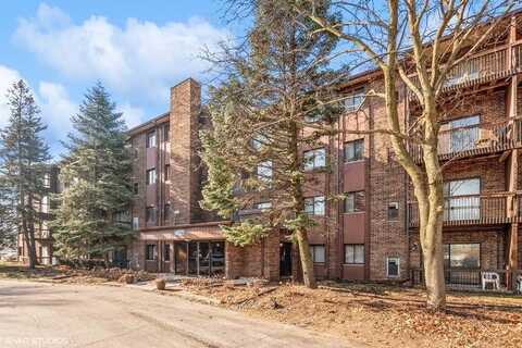 14621 GREENWOOD RD APT B210, DOLTON, IL 60419