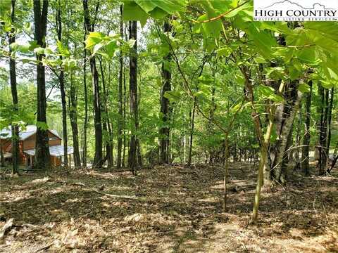 1003 Pine Ridge Road, Beech Mountain, NC 28604