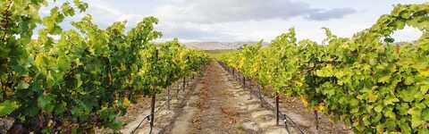 Ahtanum Road, S 52nd Ave., Yakima, WA 98903