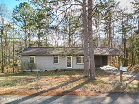 1318 Blue Ridge Drive, Sevierville, TN 37862