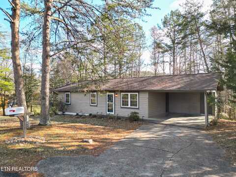 1318 Blue Ridge Drive, Sevierville, TN 37862