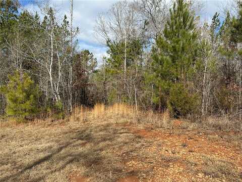 Lot 6 LEE ROAD 188, WAVERLY, AL 36879