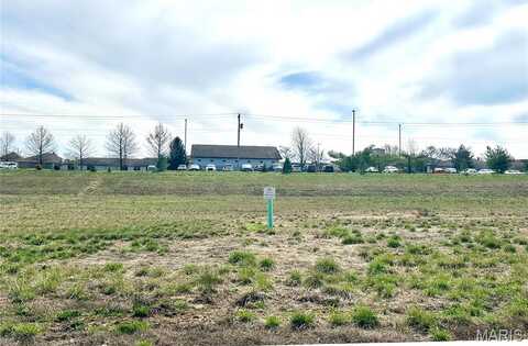 553 Legacy Dr, Waterloo, IL 62298