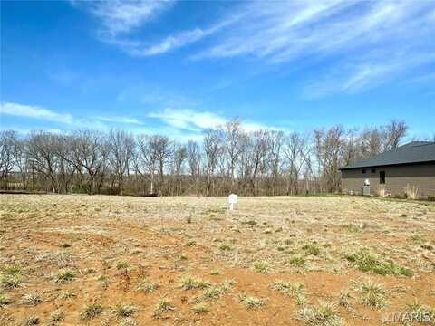 564 Legacy Dr, Waterloo, IL 62298