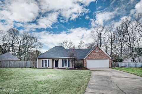 204 Mallard Drive, Brandon, MS 39047